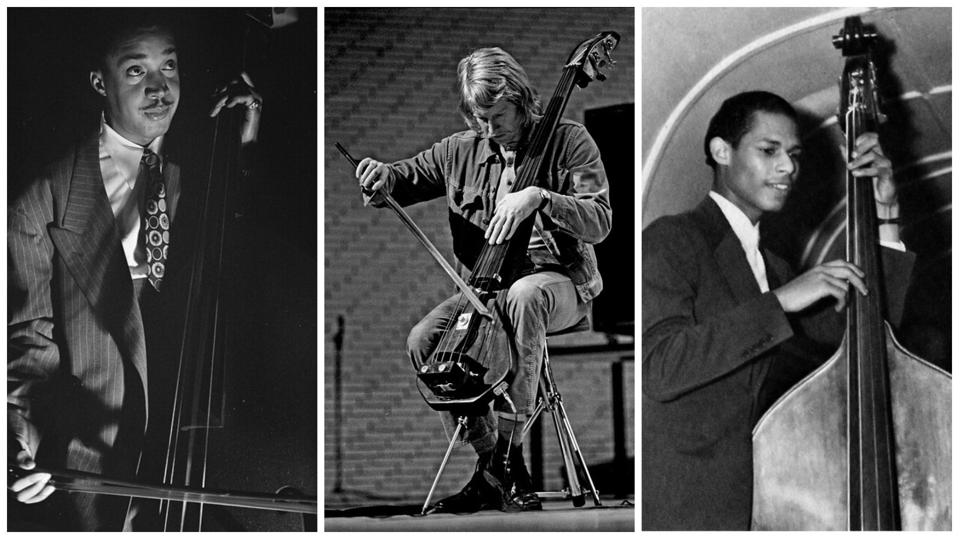 Playing with a Bow on the Double Bass in Jazz and Other Modern Styles of Music - MGLeatherWork