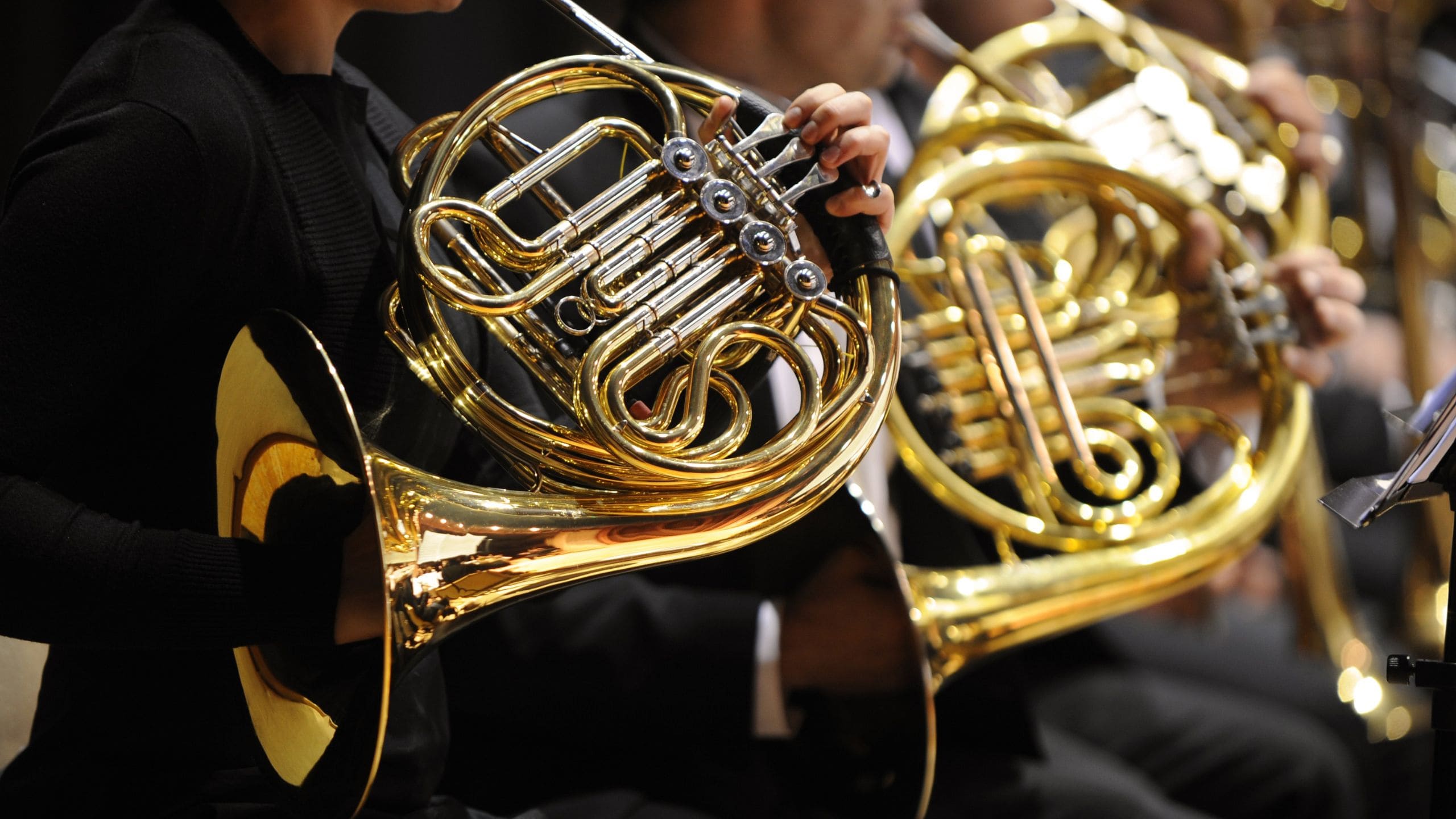 Leather hand guards for a French horn