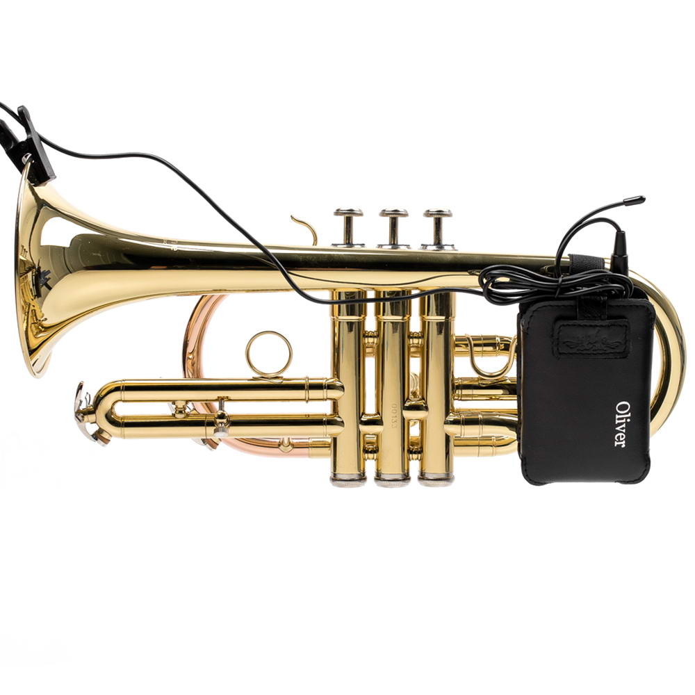 Cornet Wireless Transmitter Holder | Detroit Leather