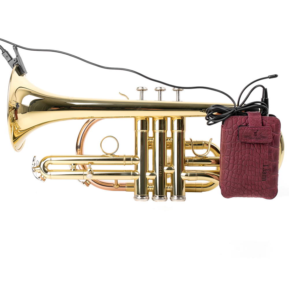 Cornet Wireless Transmitter Holder | Reptile Leather