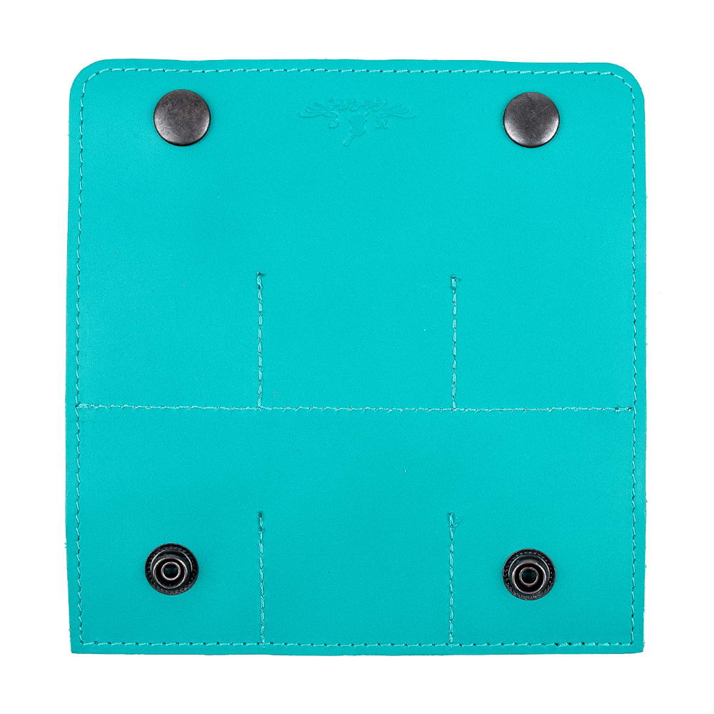 Open back tiffany plectrum case